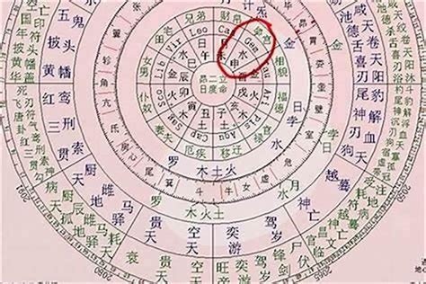 生辰八字陰陽|八字命學